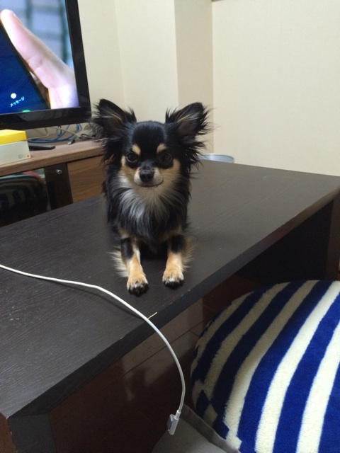 f:id:pnsk:20150107011806j:plain f:id:pnsk:20150107011806j:plain