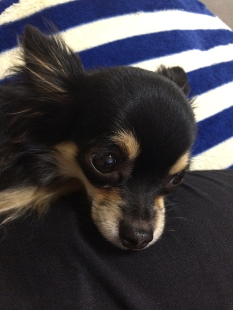 f:id:pnsk:20150205021025j:plain f:id:pnsk:20150205021025j:plain