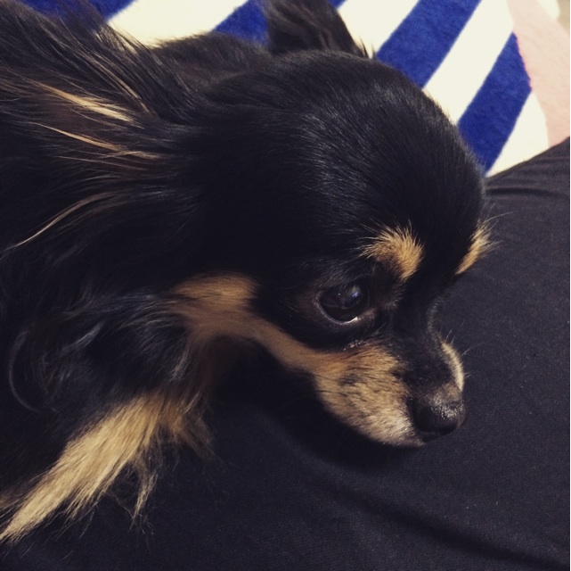 f:id:pnsk:20150205021041j:plain f:id:pnsk:20150205021041j:plain