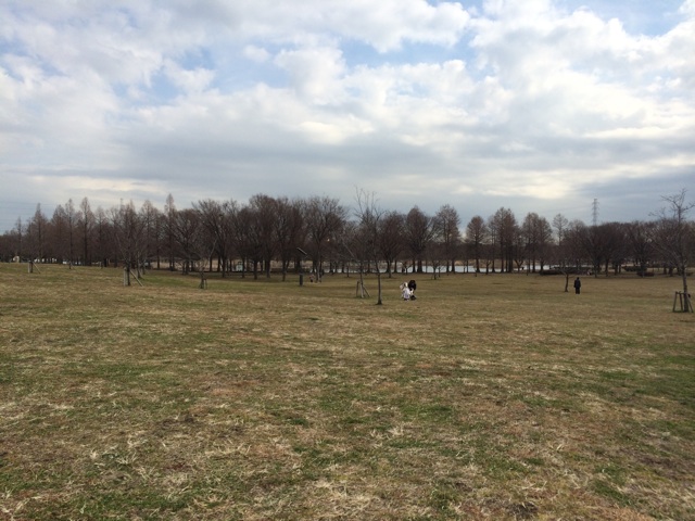 f:id:pnsk:20150208000805j:plain f:id:pnsk:20150208000805j:plain