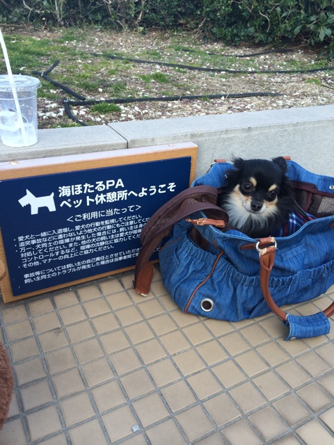 f:id:pnsk:20150212000311j:plain f:id:pnsk:20150212000311j:plain