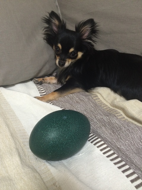 f:id:pnsk:20150212000403j:plain f:id:pnsk:20150212000403j:plain