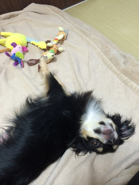 f:id:pnsk:20150221010334j:plain f:id:pnsk:20150221010334j:plain