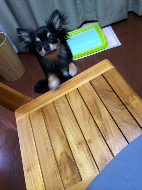 f:id:pnsk:20150221010411j:plain f:id:pnsk:20150221010411j:plain