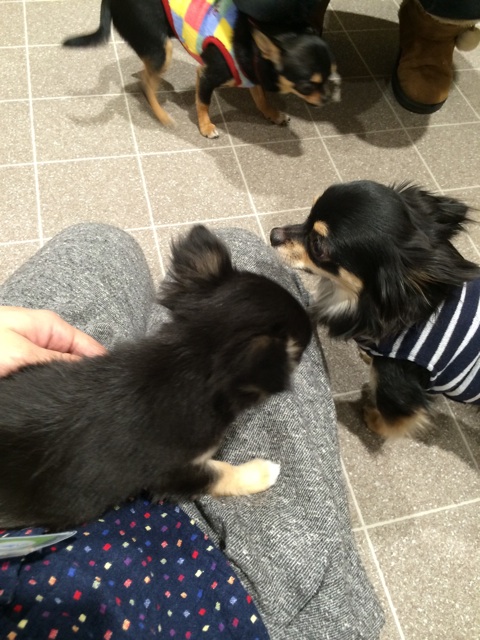 f:id:pnsk:20150221213406j:plain f:id:pnsk:20150221213406j:plain