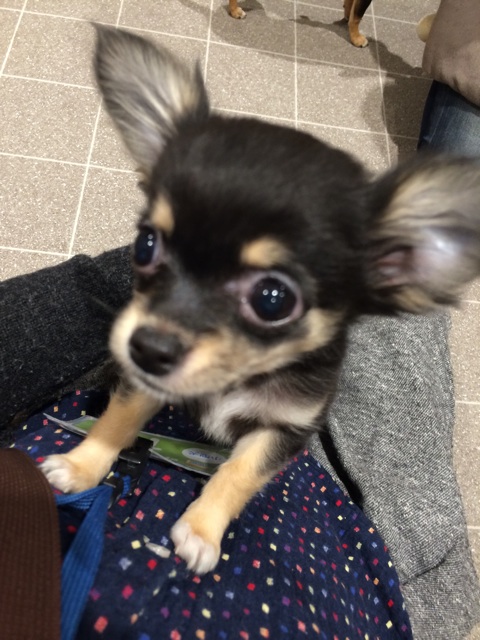 f:id:pnsk:20150221213437j:plain f:id:pnsk:20150221213437j:plain