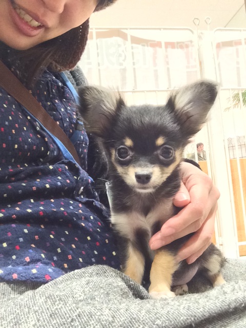 f:id:pnsk:20150221213514j:plain f:id:pnsk:20150221213514j:plain