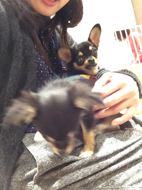 f:id:pnsk:20150221213542j:plain f:id:pnsk:20150221213542j:plain