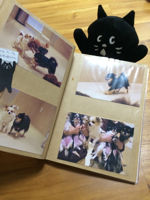 f:id:pnsk:20150307145904j:plain f:id:pnsk:20150307145904j:plain