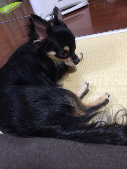 f:id:pnsk:20150308234156j:plain f:id:pnsk:20150308234156j:plain