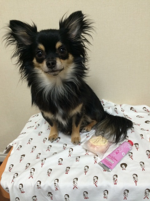 f:id:pnsk:20150314020428j:plain f:id:pnsk:20150314020428j:plain