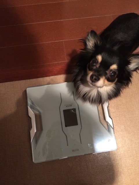 f:id:pnsk:20150328213525j:plain f:id:pnsk:20150328213525j:plain