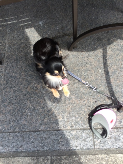 f:id:pnsk:20150328213819j:plain f:id:pnsk:20150328213819j:plain