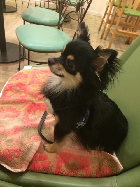 f:id:pnsk:20150328214014j:plain f:id:pnsk:20150328214014j:plain