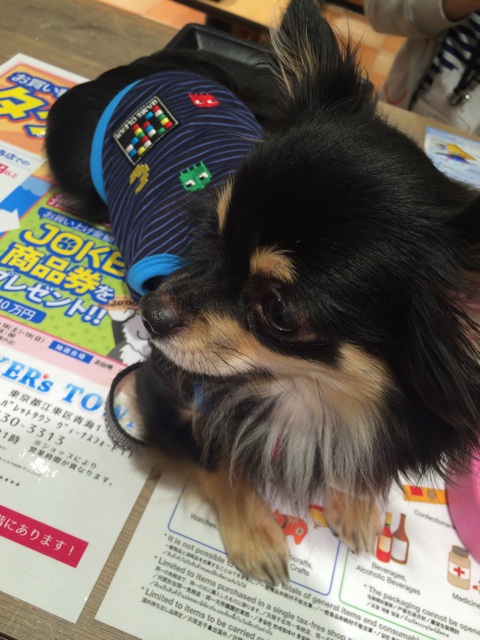 f:id:pnsk:20150328214225j:plain f:id:pnsk:20150328214225j:plain