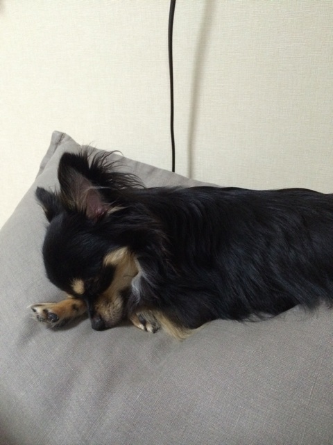 f:id:pnsk:20150329232349j:plain f:id:pnsk:20150329232349j:plain