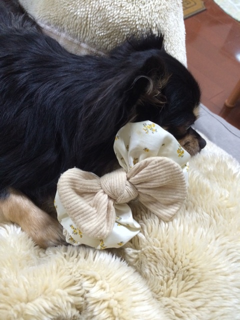 f:id:pnsk:20150329232741j:plain f:id:pnsk:20150329232741j:plain