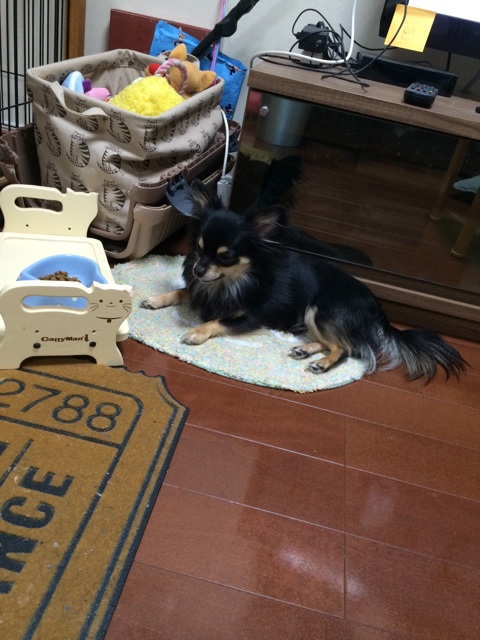 f:id:pnsk:20150330225355j:plain f:id:pnsk:20150330225355j:plain