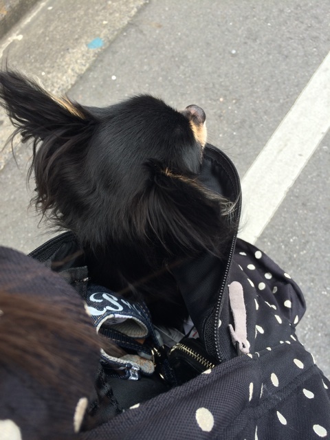 f:id:pnsk:20150404235613j:plain f:id:pnsk:20150404235613j:plain