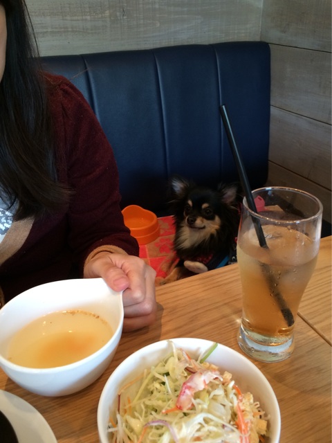 f:id:pnsk:20150419025331j:plain f:id:pnsk:20150419025331j:plain