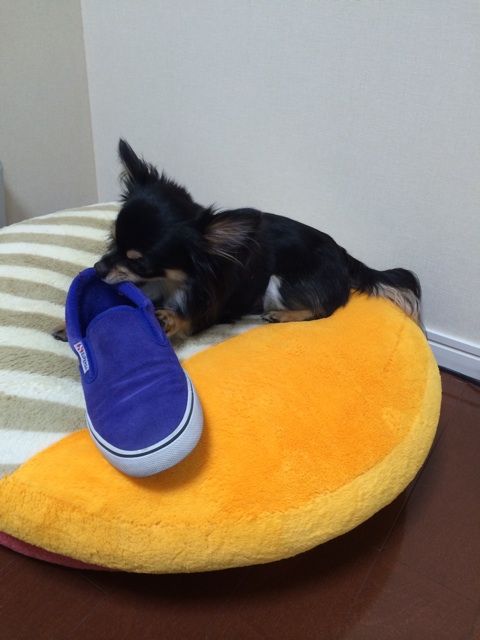 f:id:pnsk:20150427221358j:plain f:id:pnsk:20150427221358j:plain