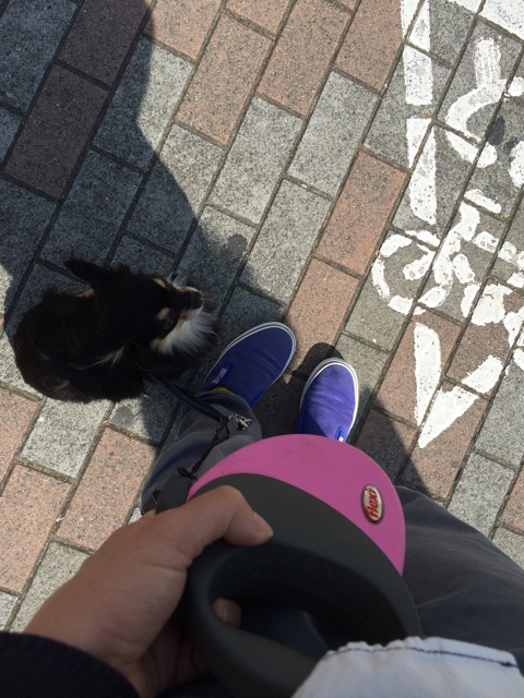f:id:pnsk:20150429232129j:plain f:id:pnsk:20150429232129j:plain