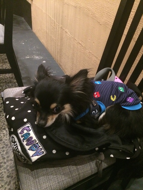 f:id:pnsk:20150503024305j:plain f:id:pnsk:20150503024305j:plain