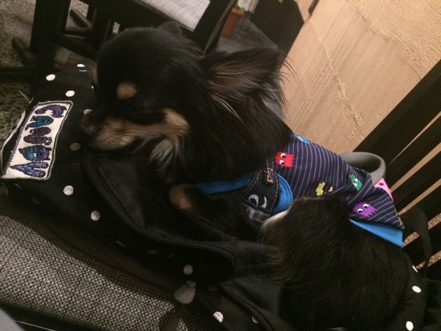 f:id:pnsk:20150503024350j:plain f:id:pnsk:20150503024350j:plain