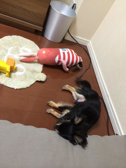 f:id:pnsk:20150505021553j:plain f:id:pnsk:20150505021553j:plain