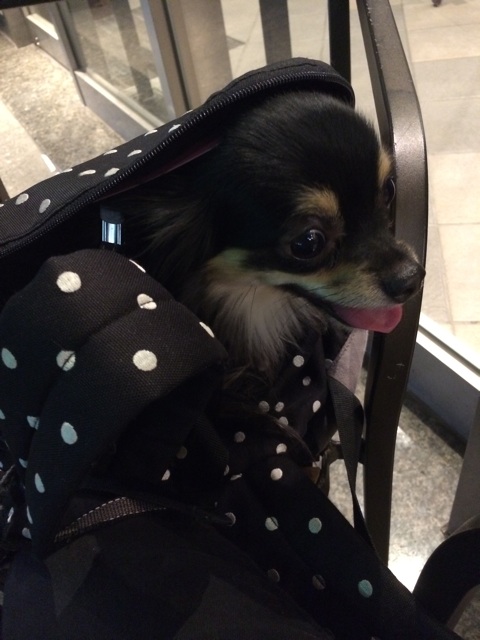 f:id:pnsk:20150506103905j:plain f:id:pnsk:20150506103905j:plain