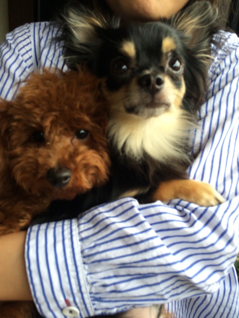 f:id:pnsk:20150507232130j:plain f:id:pnsk:20150507232130j:plain