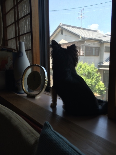 f:id:pnsk:20150509002147j:plain f:id:pnsk:20150509002147j:plain