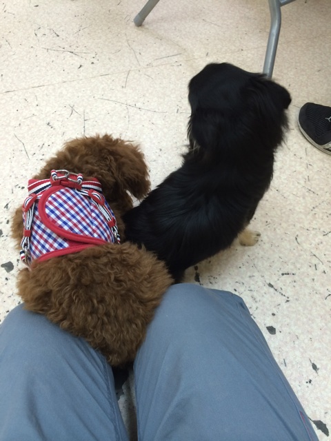 f:id:pnsk:20150509002944j:plain f:id:pnsk:20150509002944j:plain