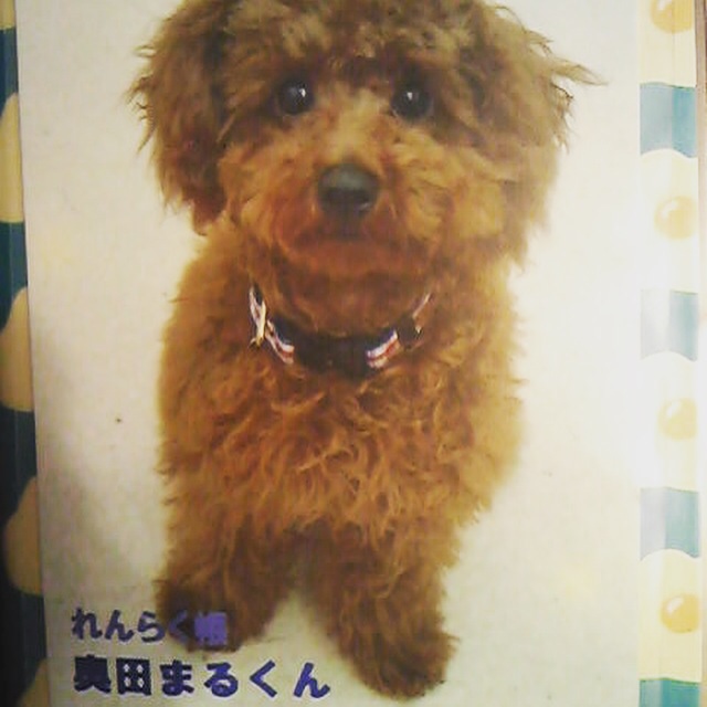 f:id:pnsk:20150514011257j:plain f:id:pnsk:20150514011257j:plain
