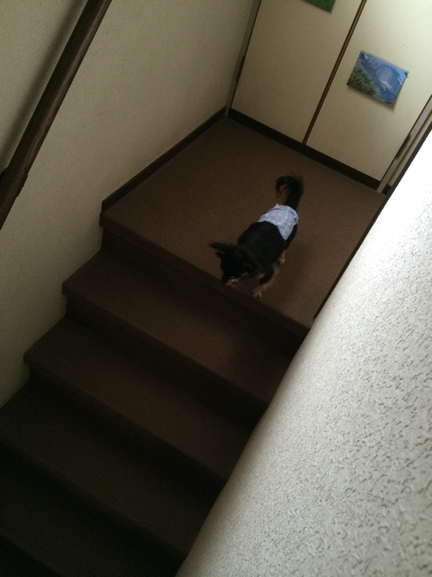 f:id:pnsk:20150516231514j:plain f:id:pnsk:20150516231514j:plain