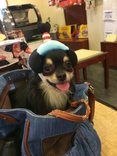 f:id:pnsk:20150518232750j:plain f:id:pnsk:20150518232750j:plain