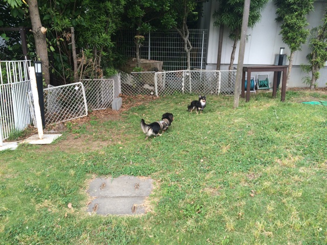 f:id:pnsk:20150518232827j:plain f:id:pnsk:20150518232827j:plain