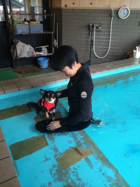 f:id:pnsk:20150518232917j:plain f:id:pnsk:20150518232917j:plain