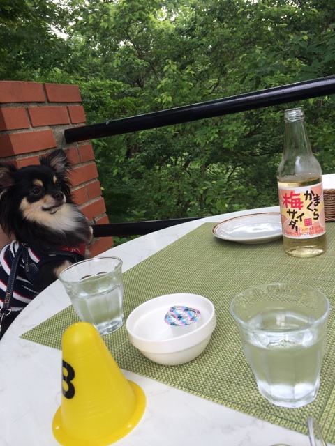 f:id:pnsk:20150524011658j:plain f:id:pnsk:20150524011658j:plain