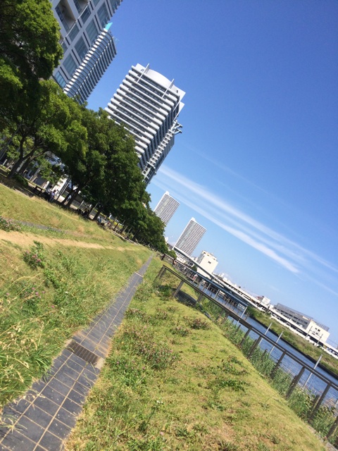 f:id:pnsk:20150530231602j:plain f:id:pnsk:20150530231602j:plain