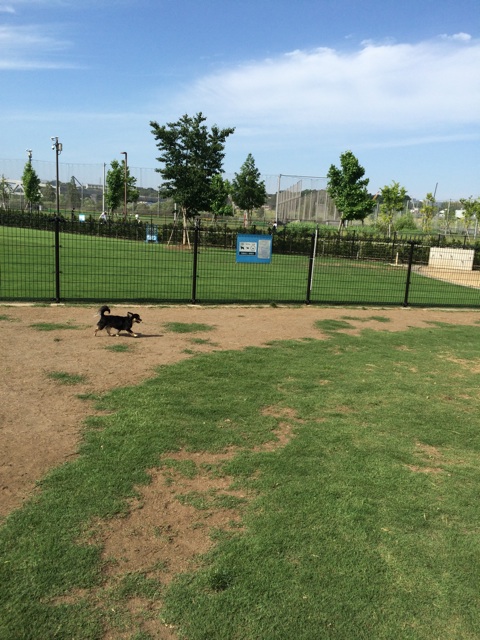 f:id:pnsk:20150530231911j:plain f:id:pnsk:20150530231911j:plain