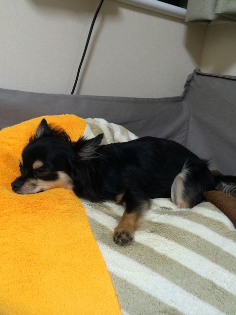 f:id:pnsk:20150530232441j:plain f:id:pnsk:20150530232441j:plain
