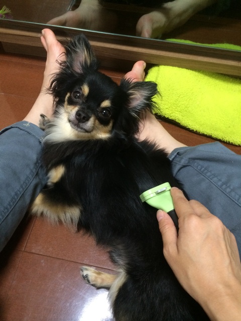 f:id:pnsk:20150614233818j:plain f:id:pnsk:20150614233818j:plain
