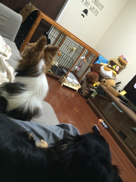 f:id:pnsk:20150720005938j:plain f:id:pnsk:20150720005938j:plain