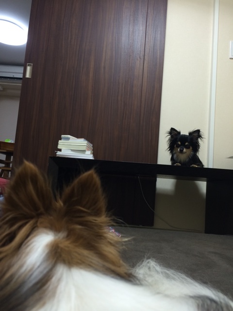 f:id:pnsk:20150720010156j:plain f:id:pnsk:20150720010156j:plain