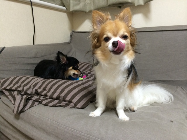 f:id:pnsk:20150720010510j:plain f:id:pnsk:20150720010510j:plain