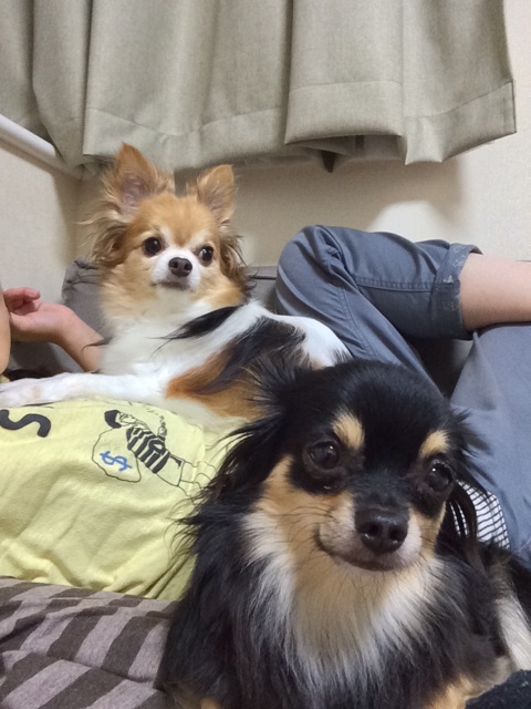 f:id:pnsk:20150720010749j:plain f:id:pnsk:20150720010749j:plain