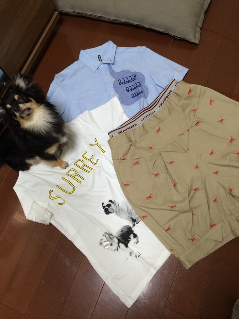 f:id:pnsk:20150720010835j:plain f:id:pnsk:20150720010835j:plain