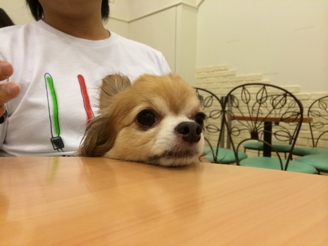f:id:pnsk:20150722013001j:plain f:id:pnsk:20150722013001j:plain