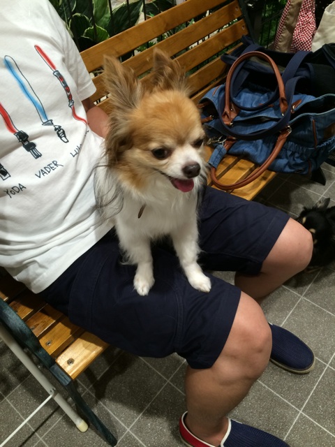 f:id:pnsk:20150722013104j:plain f:id:pnsk:20150722013104j:plain